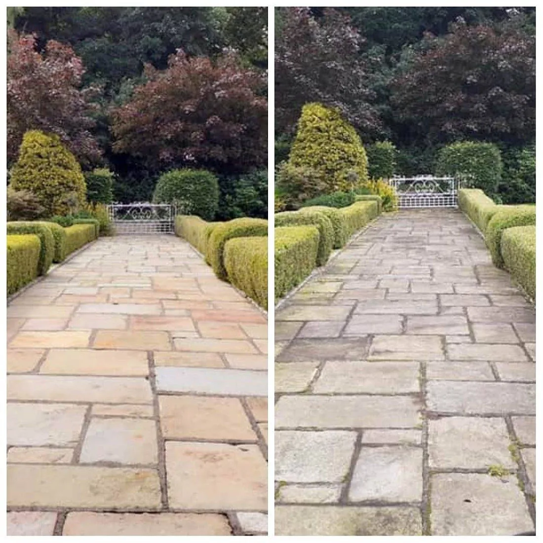 Before and after driveway cleaning result
